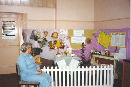 Herbal Society display at Memorial Hall, Levin, October 1990