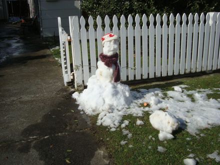 Snow creation - Guy Avenue, Levin - Resource cover image