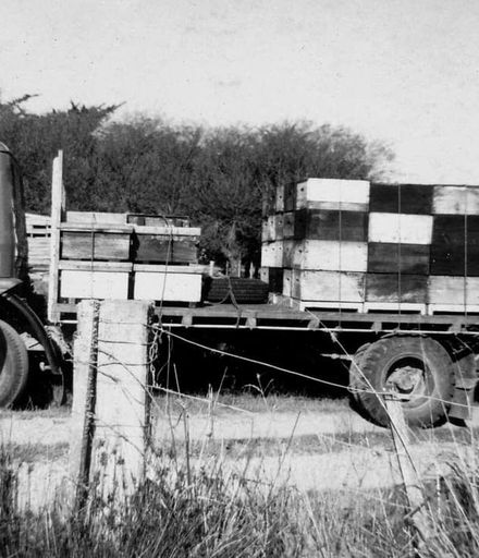 Field's Apiaries loading honey on truck, Foxton