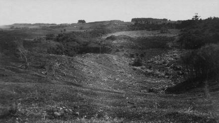 Scrub Covered Farm Land