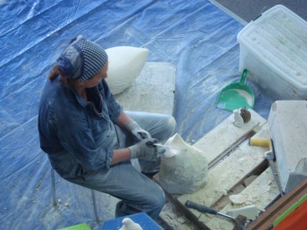 4 Cat head progressing