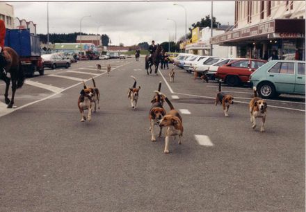 Manawatu Hunt with Hounds in Main Street, 1980's-90's