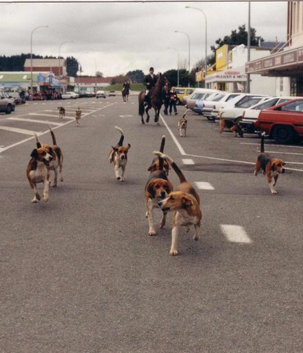 Manawatu Hunt with Hounds in Main Street, 1980's-90's