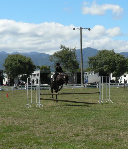 horse jumping main comp.