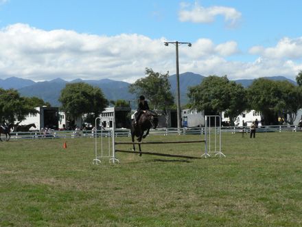 horse jumping main comp.