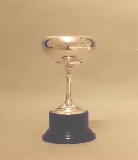 Trophy - Silver Cup (without handles) mounted on black base