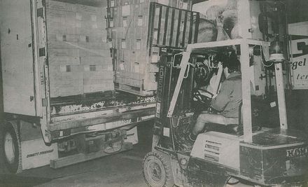 24 Hours in Horowhenua - 4.01 Chicken Cargo