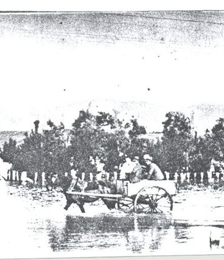Mr Frank King with others in horse & cart during flood, Shannon, 1924
