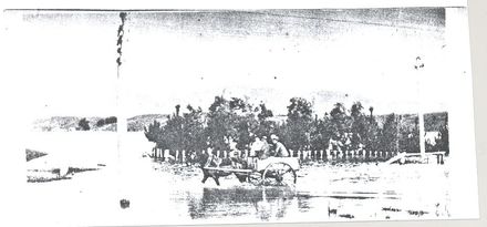 Mr Frank King with others in horse & cart during flood, Shannon, 1924