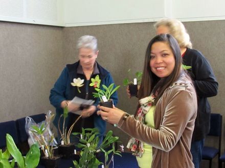 The Levin Orchid society show August 2012 0232 - Resource cover image