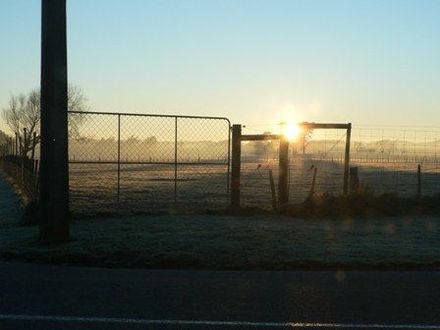 view by the dog park by the lake