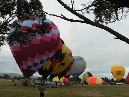 still standing at attention
