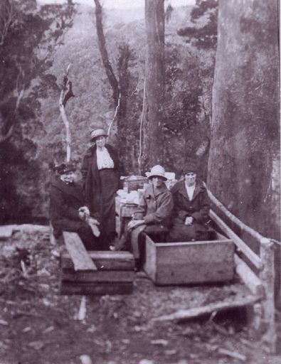 Unidentified women, Easter Picnic, Mangahao,1922