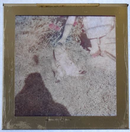 Magic Lantern Slide- Unimpressed Cat - Resource cover image