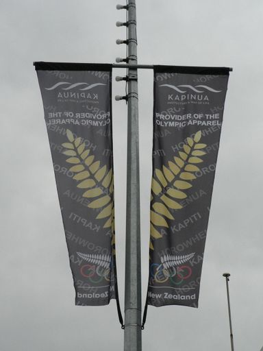 the flags