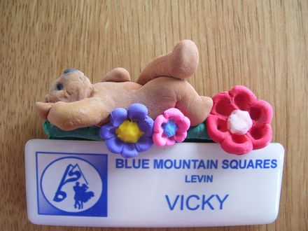 Badge Topper - Resource cover image