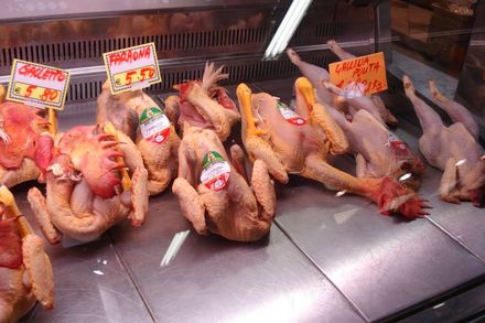 Fowls ... necks and all