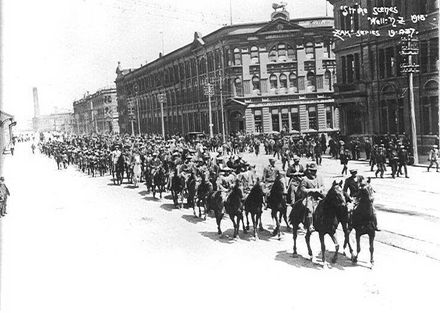 Special Constables from Horowhenua, Wellington, 1913