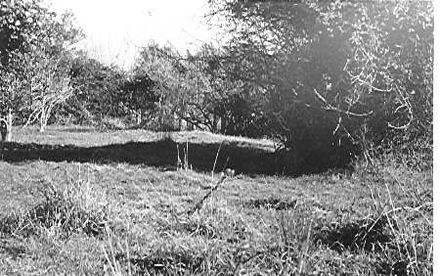 Former site of Nga Tawa School for Girls, Shannon