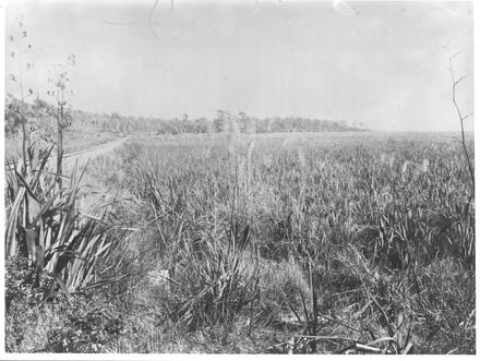 Railways photographs