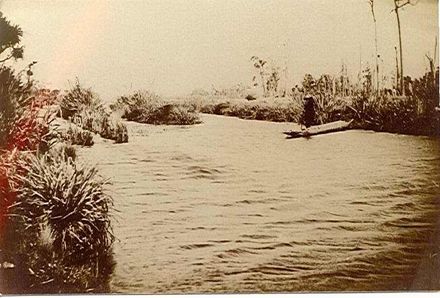 Hokio Stream and eel weir
