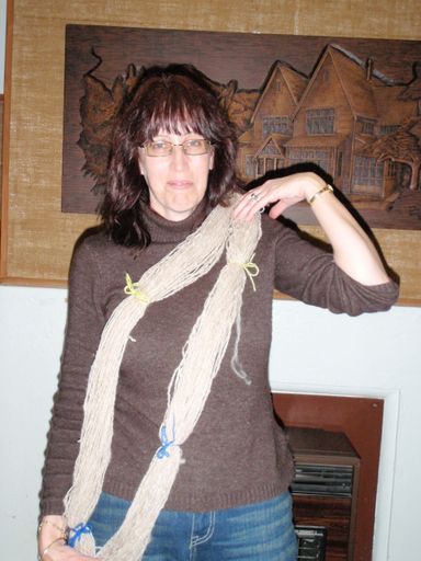 Levin spinners - Resource cover image