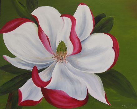 Untitled by Joan Keogh Acrylic $30 - Resource cover image