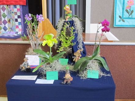 The Levin Orchid society show August 2012 0251 - Resource cover image