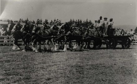 Horse Team at the Levin Show 1947