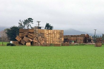 Queen Street East - Vegetable crates