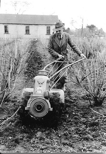 S. Richardson using Simar cultivator, 1952