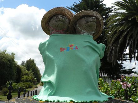 The meerkats go summer  cool