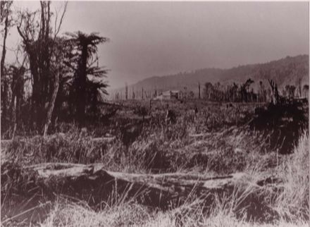 'Cheslyn Rise', 1901