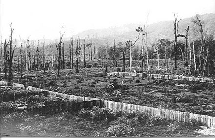 Looking northeast from Cheslyn Rise