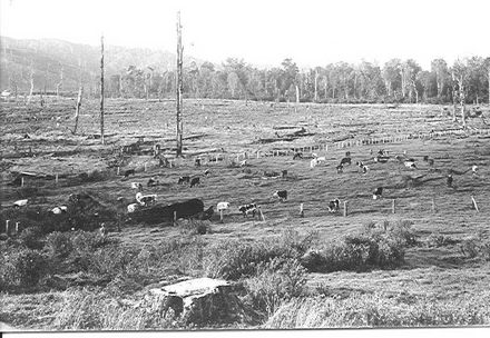 Cheslyn Rise, view of cleared land..