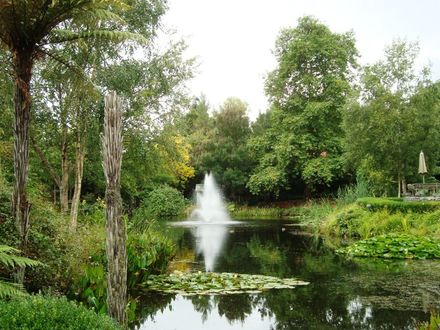 Fountain in Lake at Garden 7