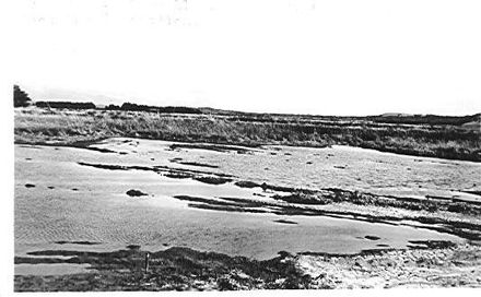 Flaxmill Ponding Area