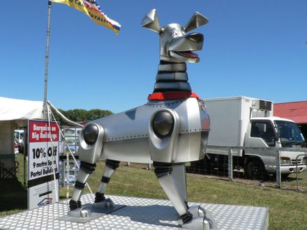 Big Dog