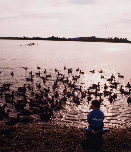 Feeding Ducks at Lake Horowhenua