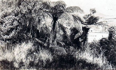 View of Mangaore Powerhouse through bush, c.1930 (?) - Resource cover image