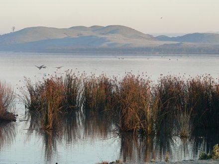 Lake Horowhenua