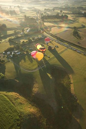 In Flight - Photo by Trevor Heath - Resource cover image