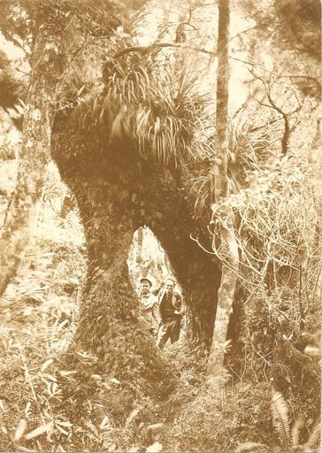 Waiopehu Track - Working Party (Sept 17-18 1927)