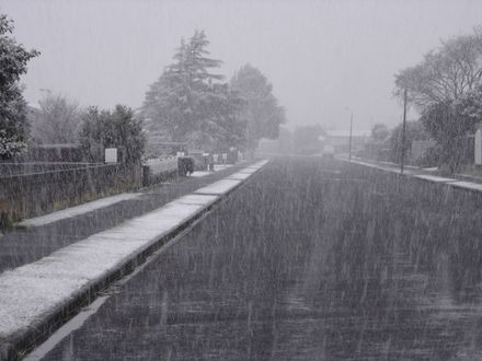 Strathmore Ave. 15-8-2011 - Resource cover image