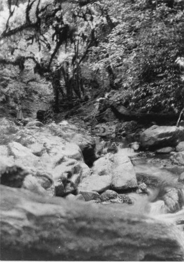 Woman (unidentified) standing beside unidentified stream, early 1920's