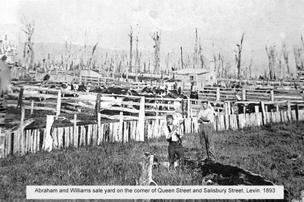 Abraham and Williams sale yards1893