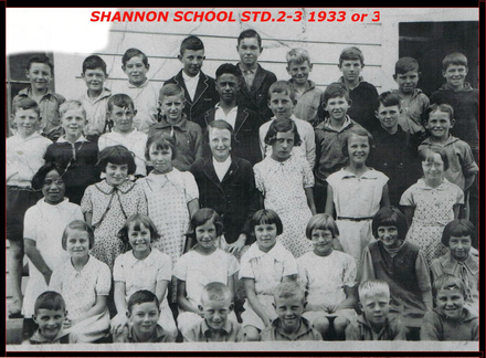 Shannon school