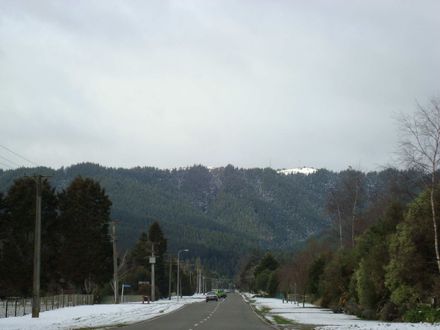 Venturing out - looking towards Trig in Queen Street East, Levin