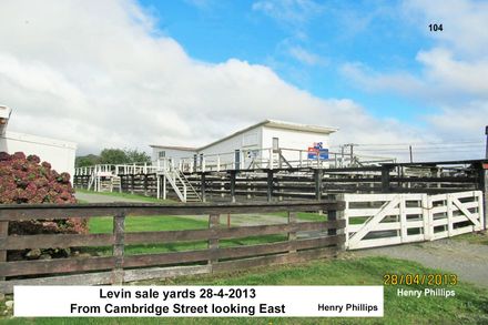 Levin sale yards Cambridge St looking east 213 - Resource cover image