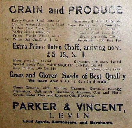 1916 Parker & Vincent Merchants, Levin - Resource cover image